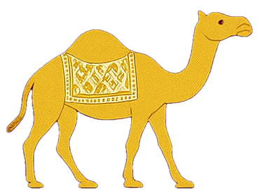 camel